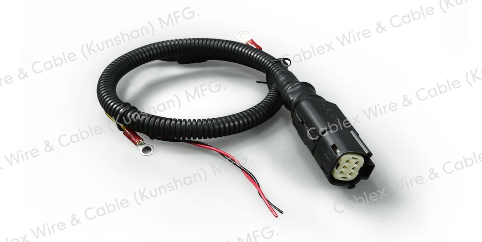 Electronic control system