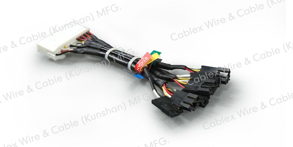 Electronic control system